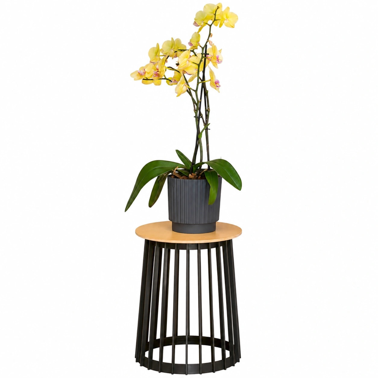 Robuster Runder Gartentisch XL/XXL - Vielseitig für Balkon, Terrasse und Garten